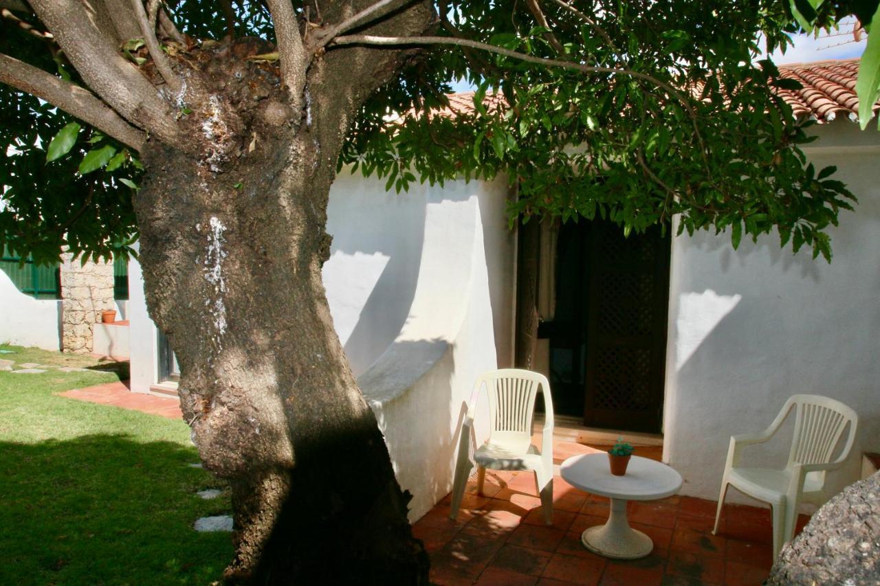 Villa Jacaranda - 550M From The Beach - Free Wifi - By Bedzy アルブフェイラ エクステリア 写真