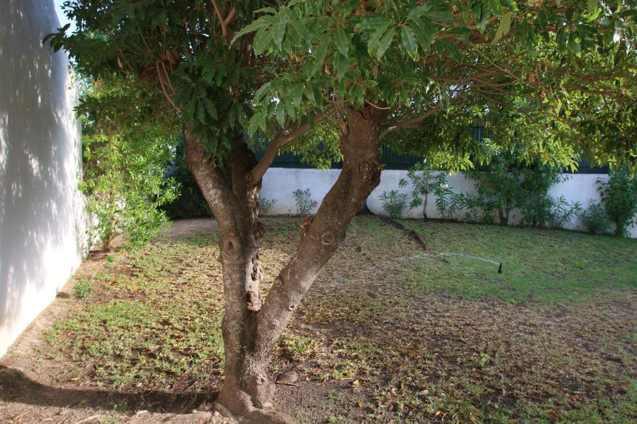 Villa Jacaranda - 550M From The Beach - Free Wifi - By Bedzy アルブフェイラ エクステリア 写真